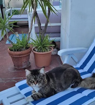 + Terrasse Privative 홈스테이